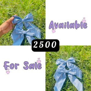 Light Blue Medium Bow