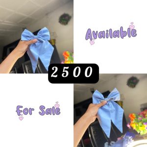 Medium Sky Blue Bow
